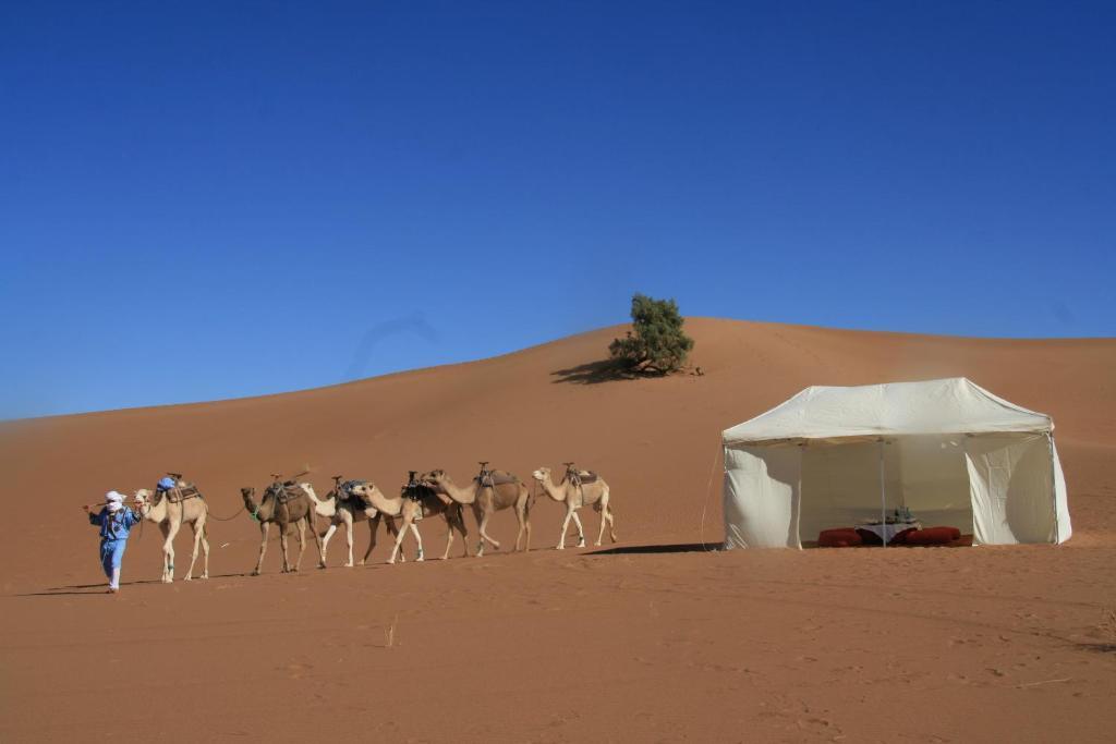 Erg Chegaga Luxury Lodge M'Hamid Eksteriør bilde